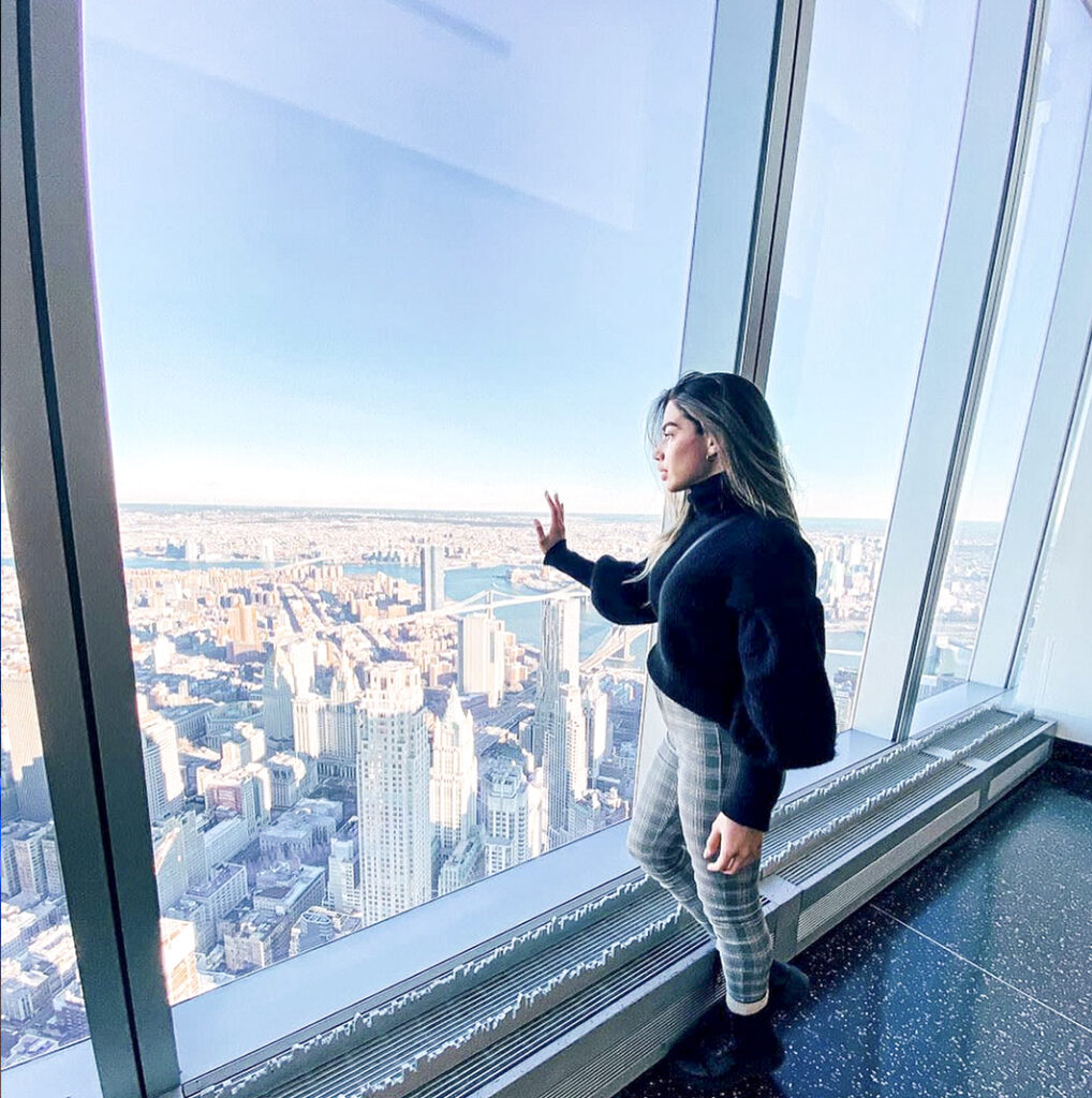ne World Observatory-skyline new york