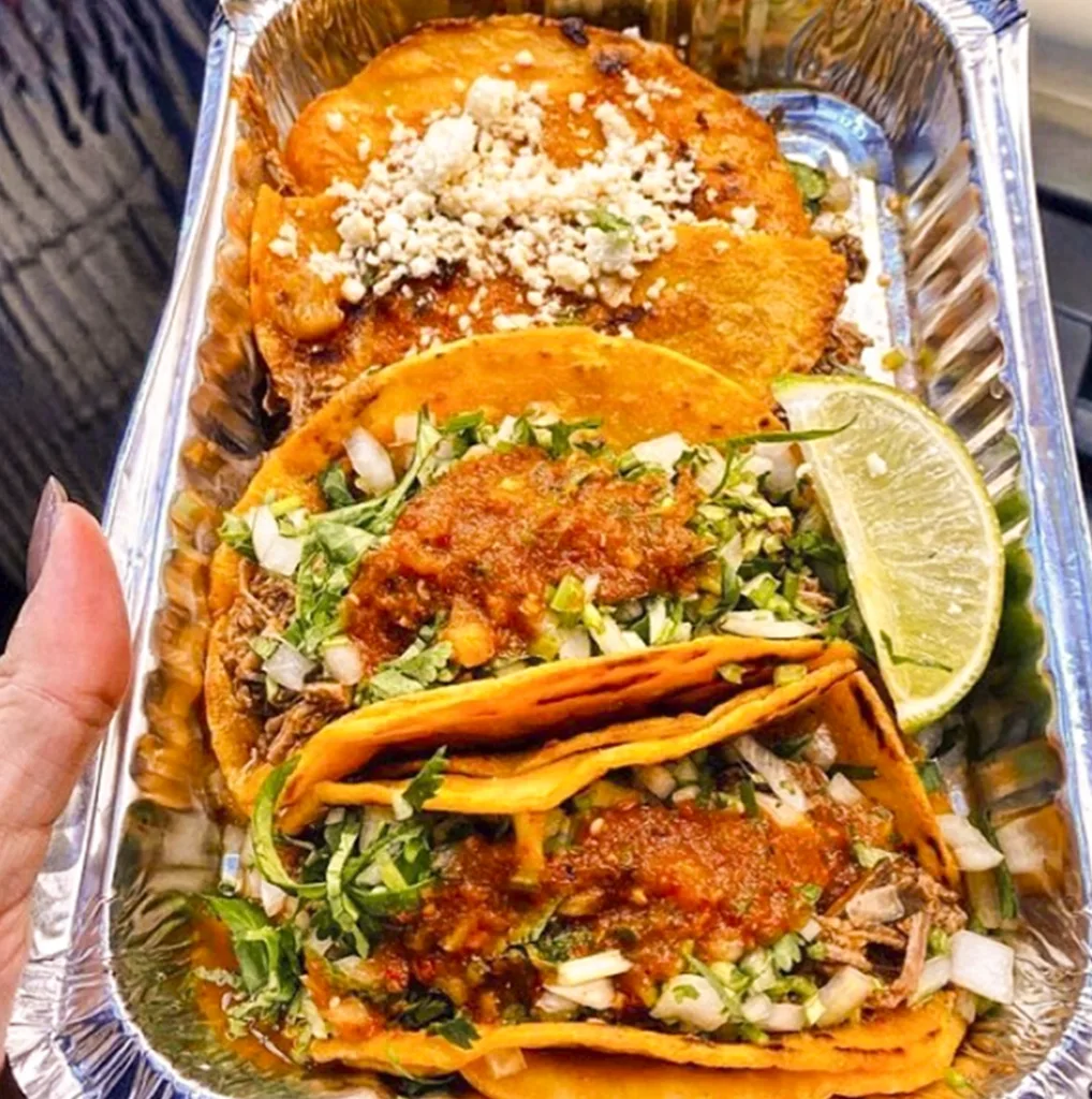 Birria-Landia Food trucks NY