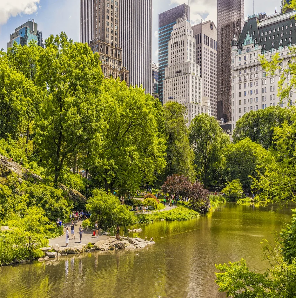 Central park NY