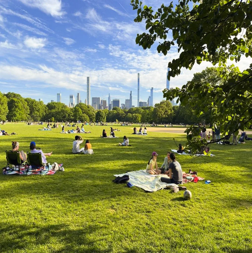 Central Park in New york