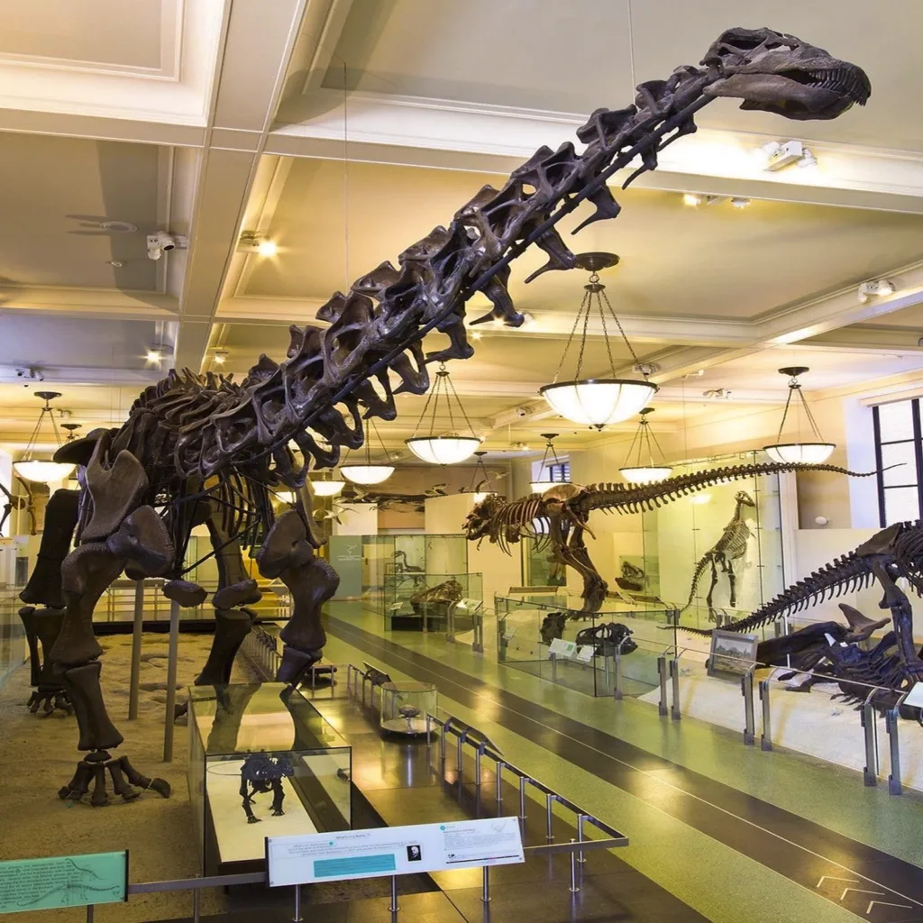 American Museum of Natural History