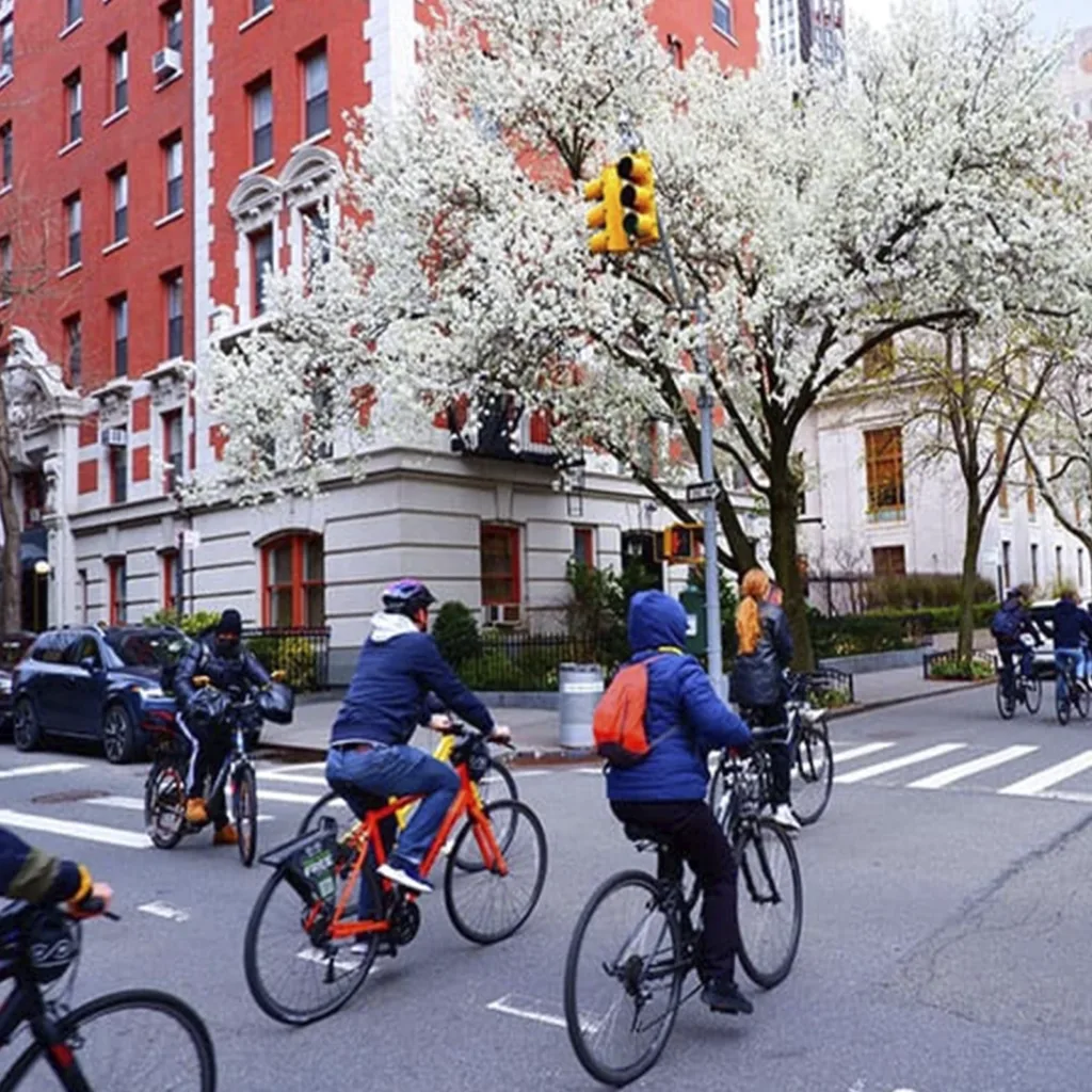 Downtown Fietstours New York bicycle tours in New york Fahrradtouren in New York Fahrradtouren in New York