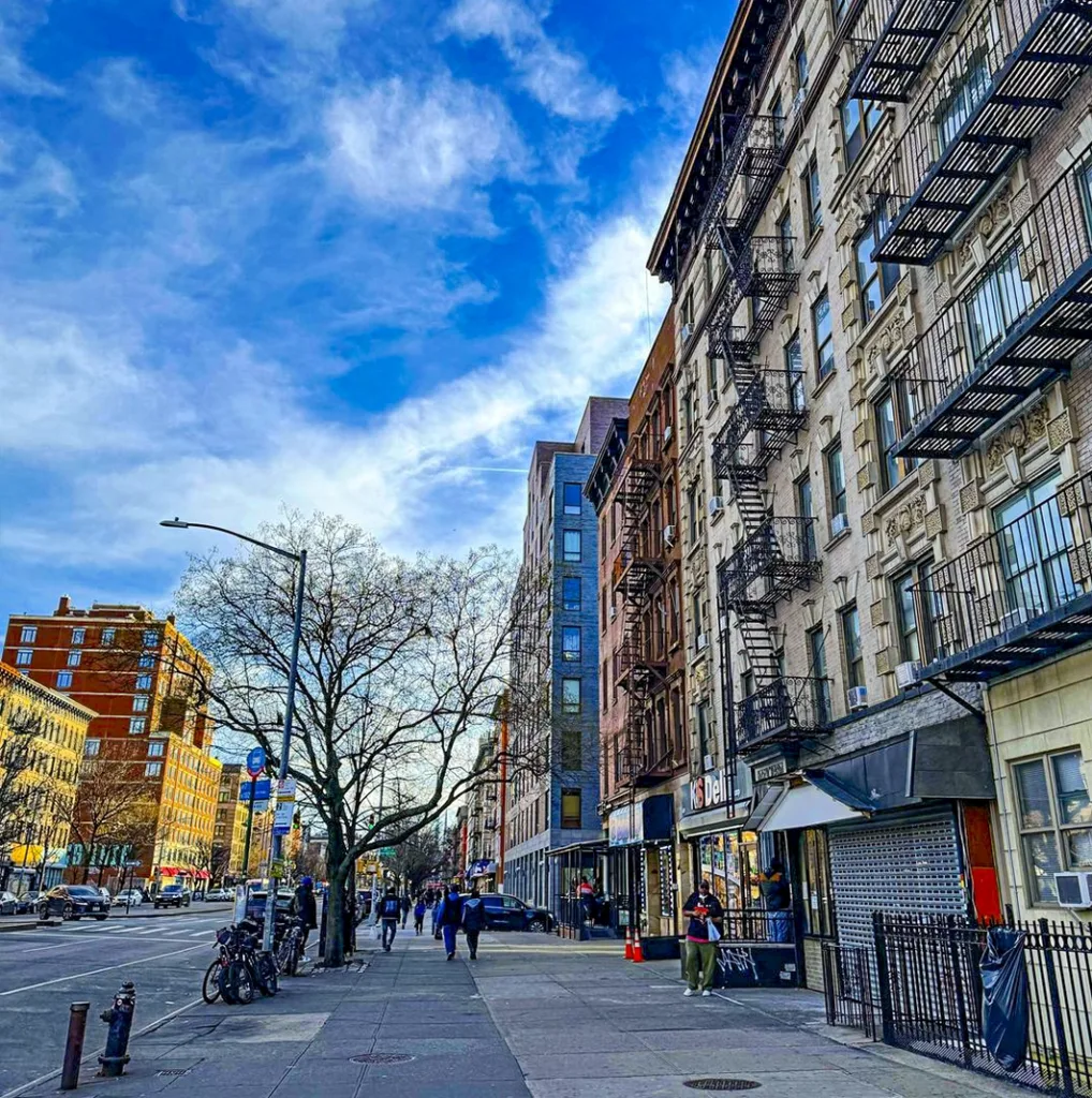 harlem in new york