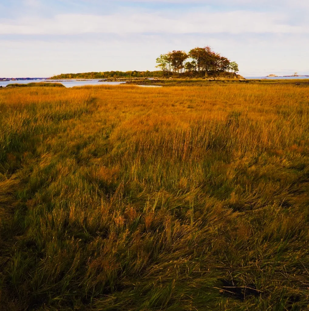 Pelham Bay Park Die Bronx the Bronx