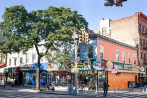 The Bronx New york
