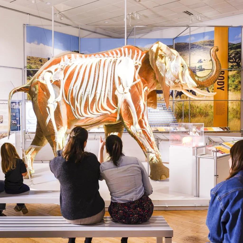 American Museum of Natural History