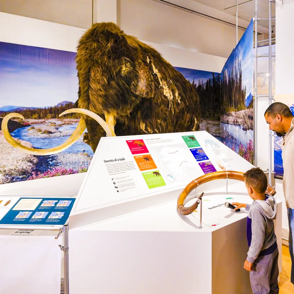 The Secret World of Elephants in AMNH