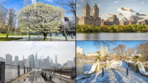 beste Reisezeit für New York, Vorbereitungen für Reise nach New York