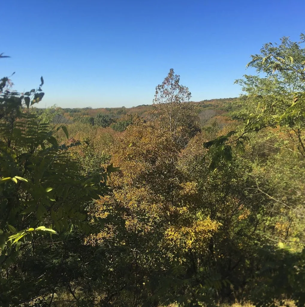 High Rock Park