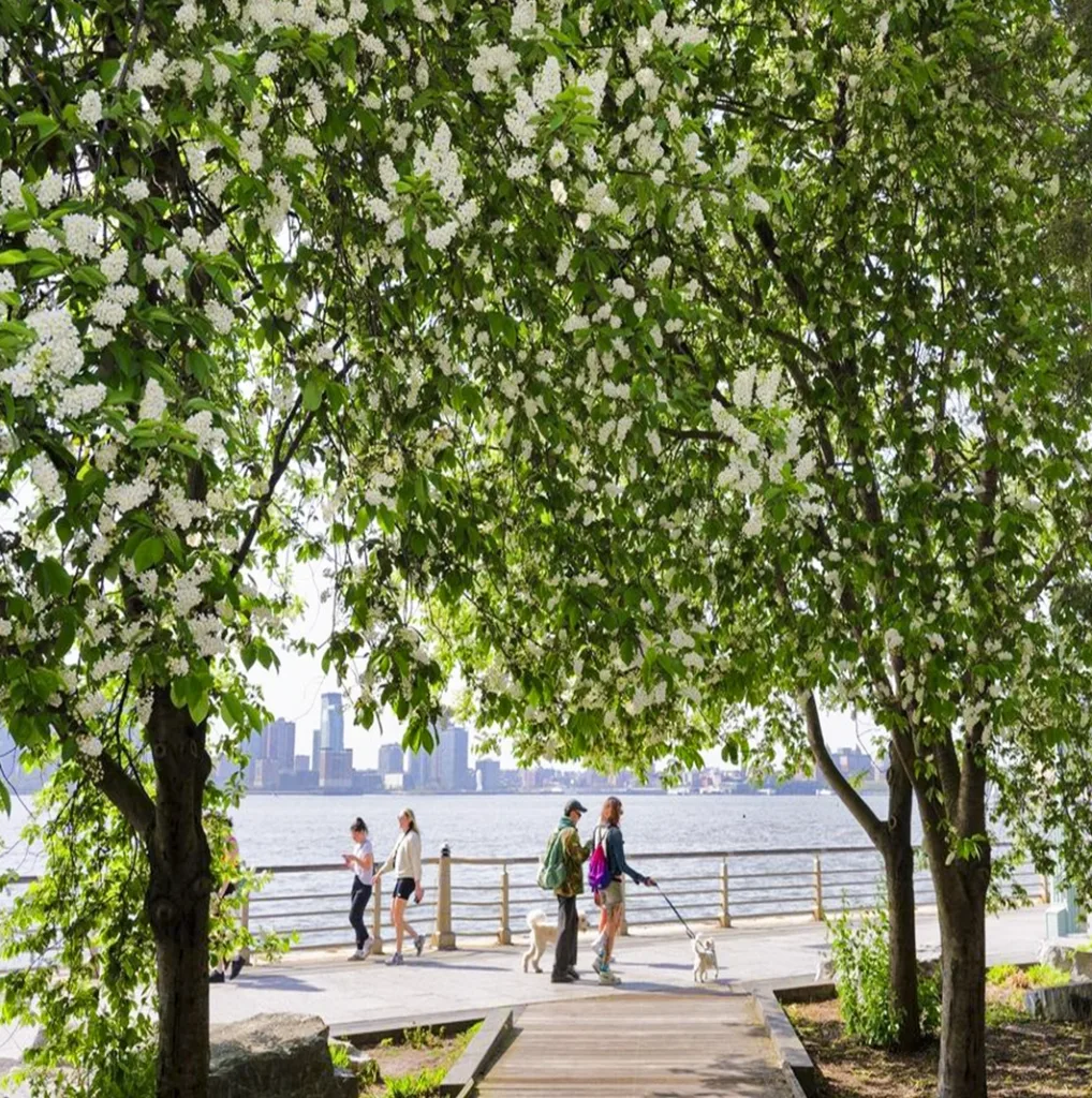 Pieren in Hudson River Park New York city nyc