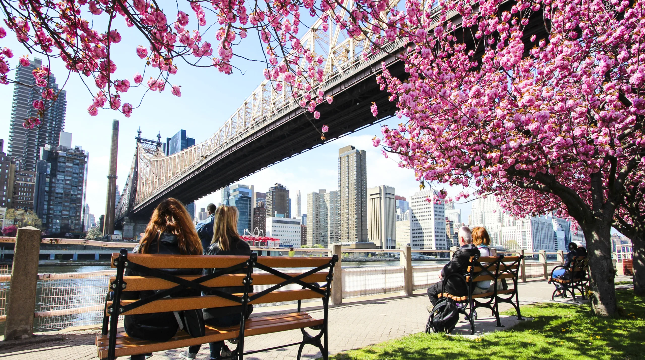Stadtviertel New York, Roosevelt Island