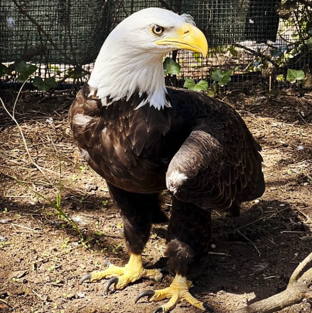 Staten Island Zoo
