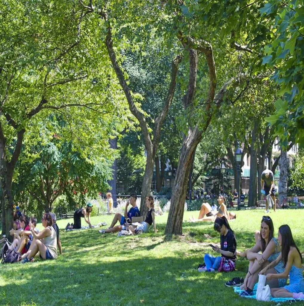 Washington Square park NYC