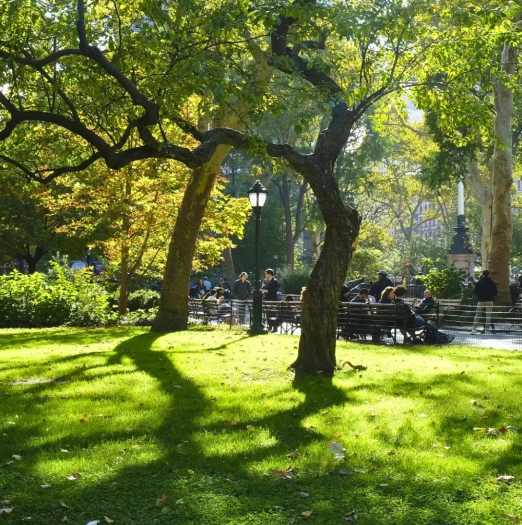 Madison Square Park