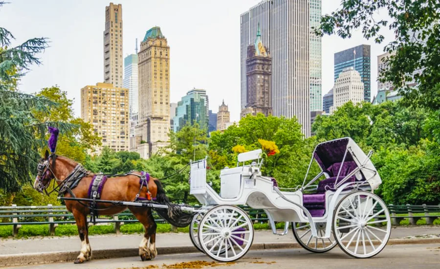 Horse-drawn carriage ride through Central Park