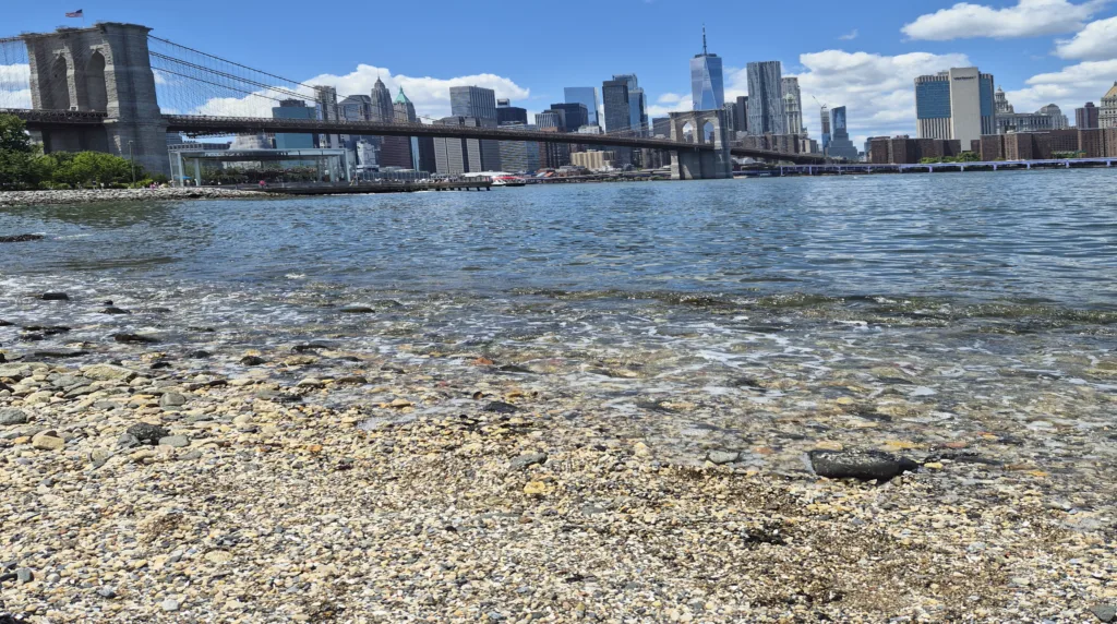 Pebble Beach -brooklyn bridge park