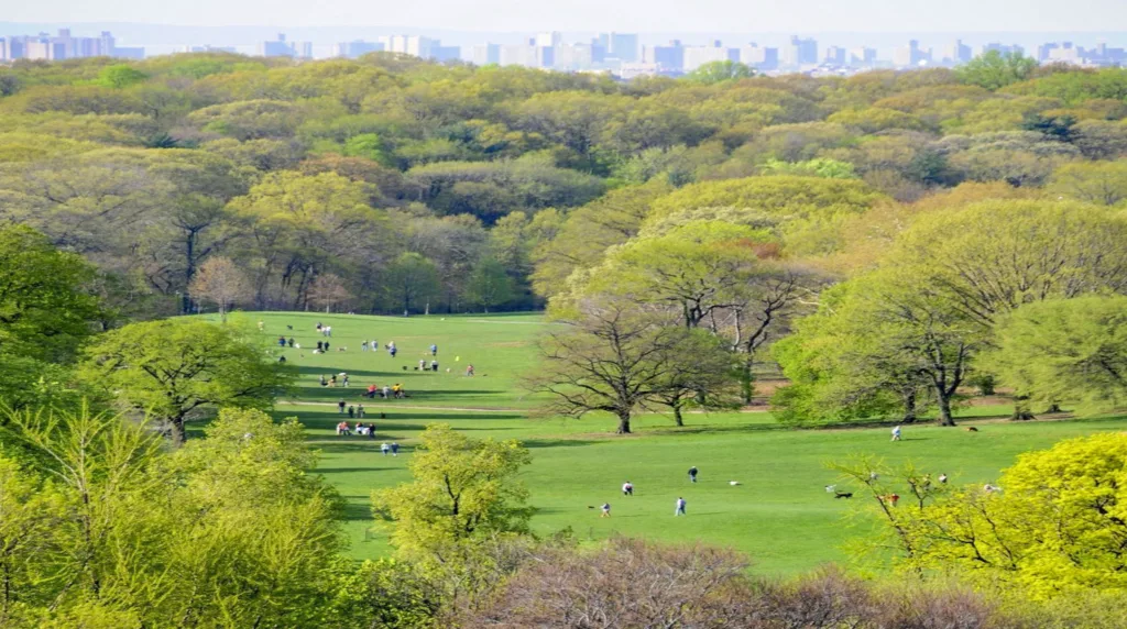 Prospect Park in brooklyn