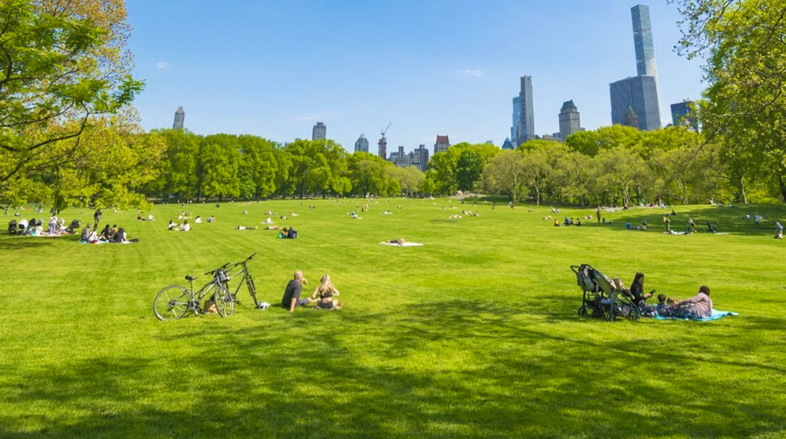 parken in New York
parks in New York