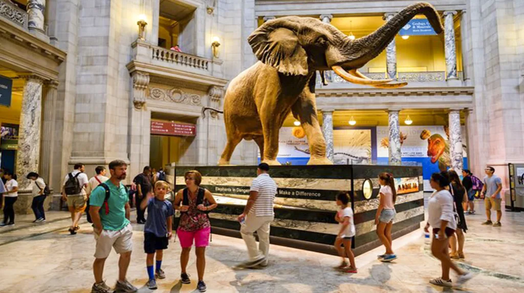 Museen in New York