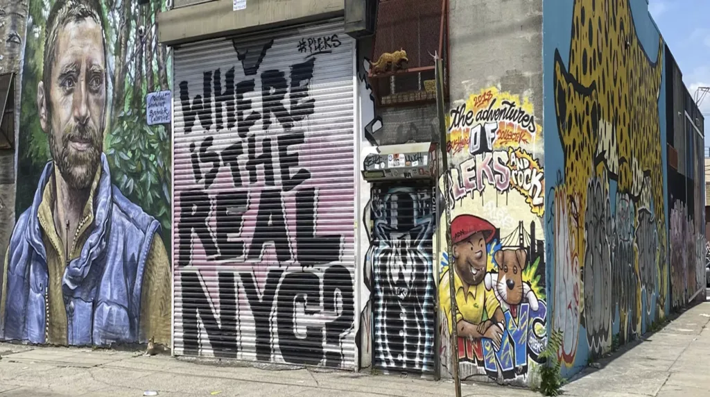 Stadtviertel New York, Street Art in der Bronx