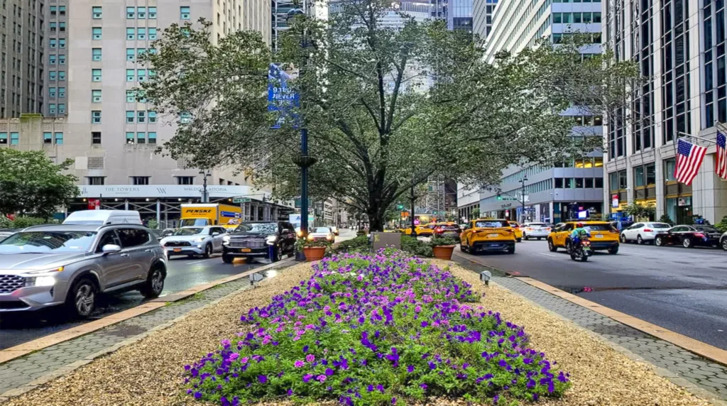 Park Avenue-nyc